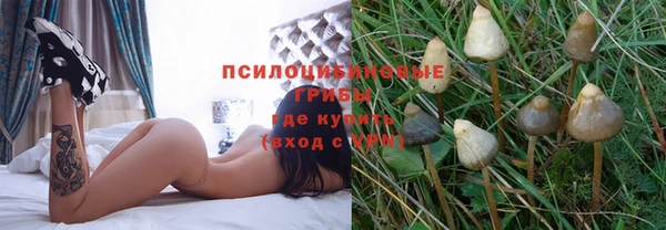 прущая мука Коряжма